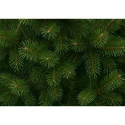 Albero di Natale Alto 270 cm Pino Verde Folto Senza Addobbi