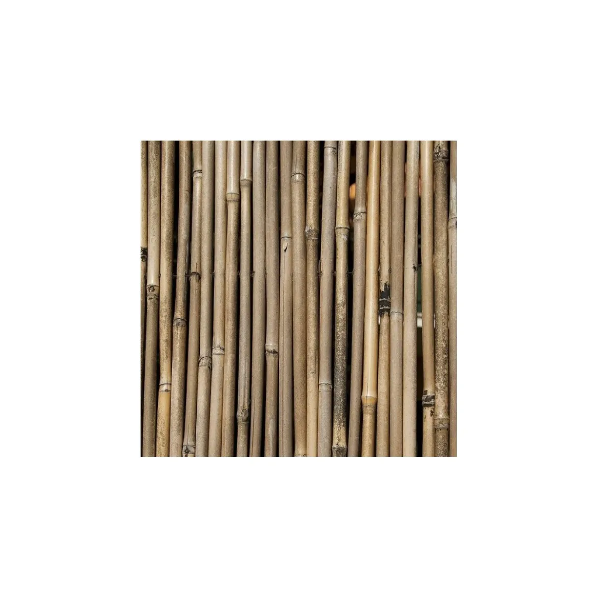 Arella in Bamboo 300x150 Arredamento per il Giardino