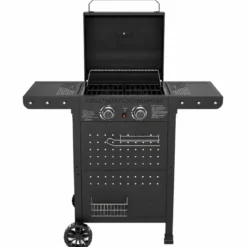 Barbecue a Gas 2 Bruciatori Acciaio Inox 5 kW Griglia in Ghisa Smaltata