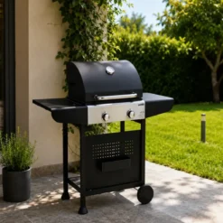 Barbecue a Gas GPL da Esterno 2 Bruciatori con Coperchio Acciaio Inox
