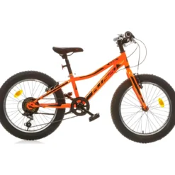 Bicicletta per Bambini 20