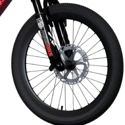 Bicicletta per Bambini Mountain Bike 20" Rosso con Freni a Disco