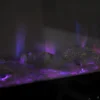 Camino Elettrico da Parete 1500 W Vetro Temperato LED Multicolore