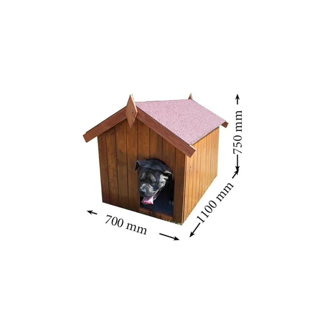 Cuccia per Cane Taglia Piccola in Legno Tetto con Pavimento Interno da Esterno