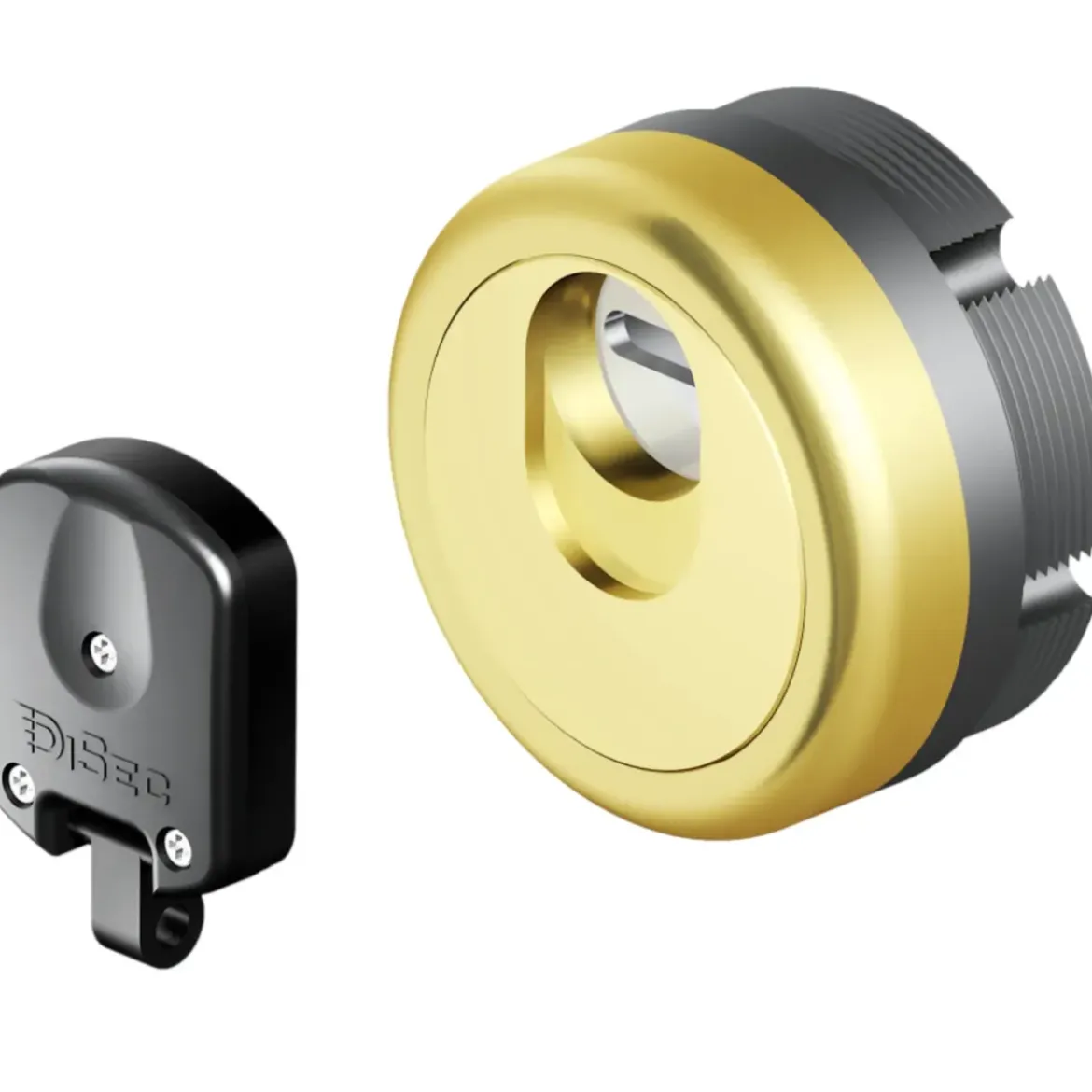 Defender Magnetico Disec MAG 3G Porta Blindata Cilindro Europeo Oro Lucido