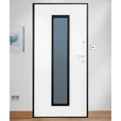 Porta Blindata con Vetro Portone da Esterno Portoncino Prezzi Antisfondamento