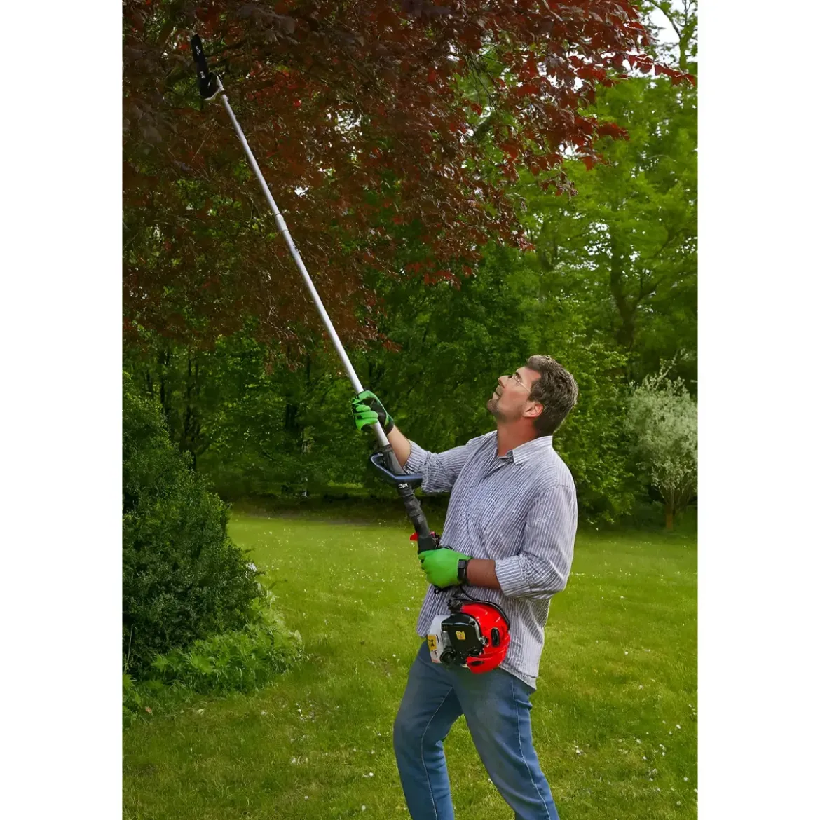 Potatore a Scoppio 32,6 cc Barra 25 cm Asta 2,68 m Professionale