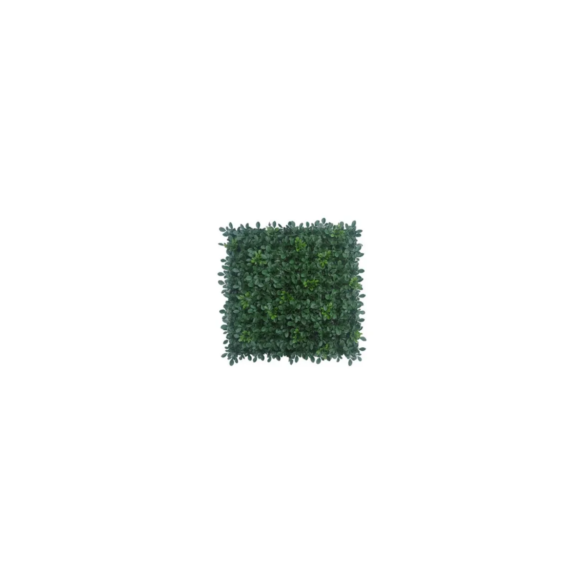 Siepe Artificiale da Parete 2 pezzi 50x50 Muschio