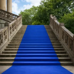 Tappeto Moquette 1x30 m Blu Passatoia Antiscivolo da Esterno Interno