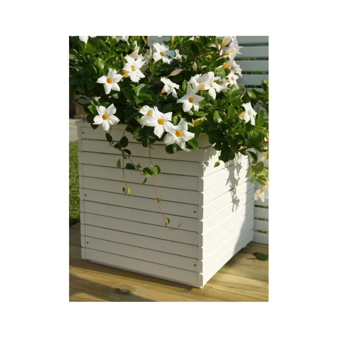 Vaso Fioriera in Legno Bianca 50x50 cm da Esterno Giardino Portavasi