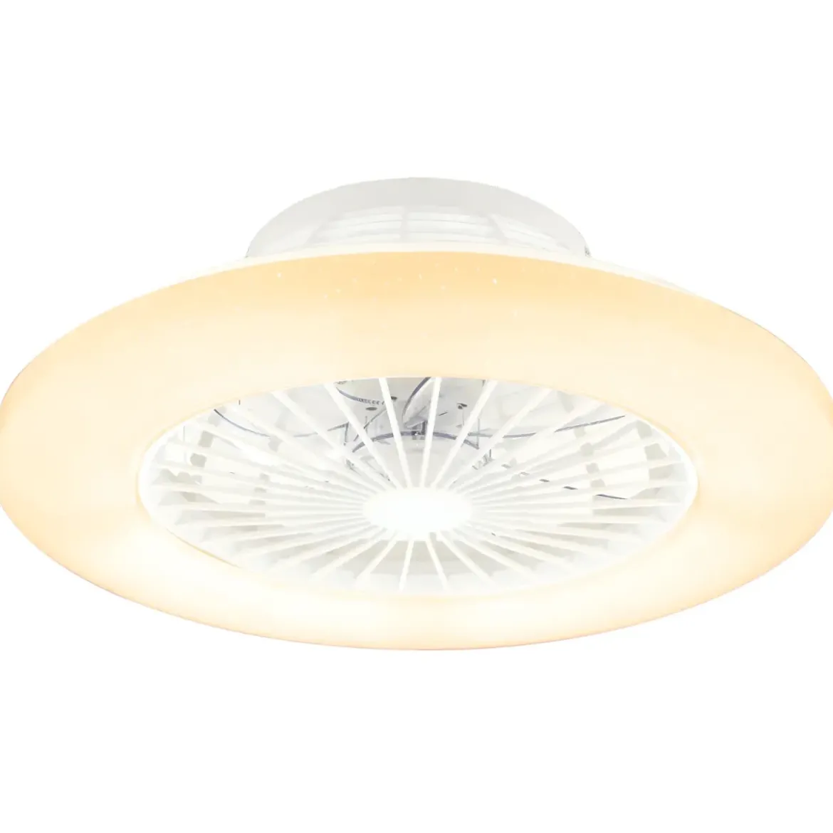 Ventilatore da Soffitto con Luce in Metallo Bianco 50 cm Telecomando